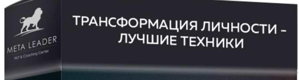 [Meta Leader] Трансформация личности (Кирилл Прищенко)