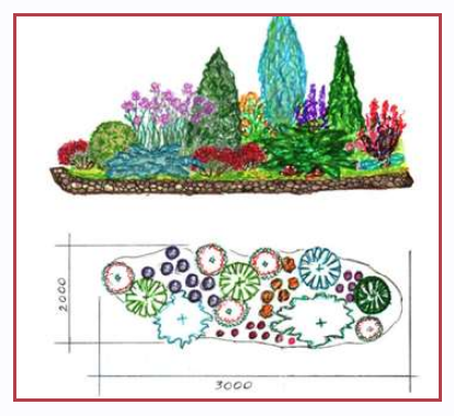 Составление растительных композиций (Александр Сапелин)