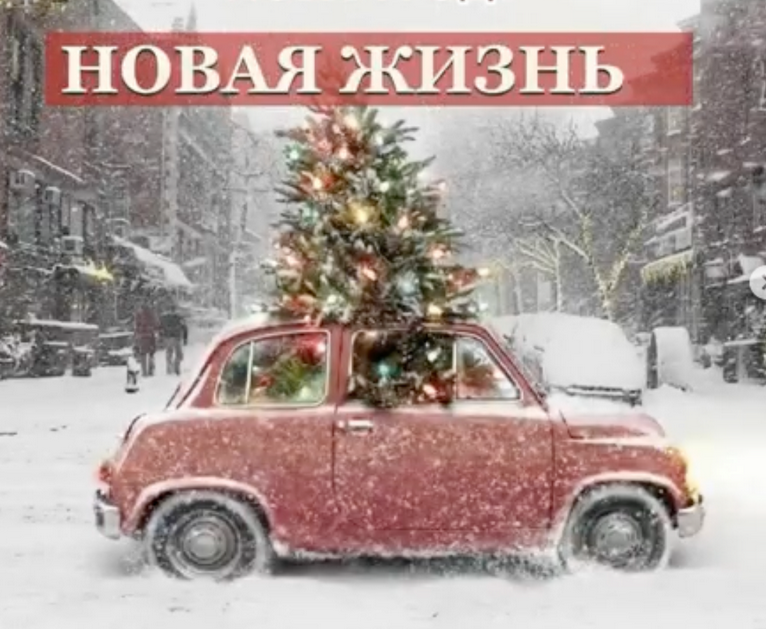 Новая жизнь (Анастасия Чушевская)