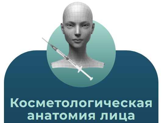 Анатомия человека. Тариф Косметологическая анатомия лица (Эдгар Кафаров)