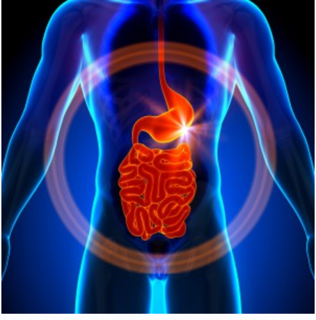 Натуральный биоактивный комплекс для очищения кишечника (Колон Кэйр)