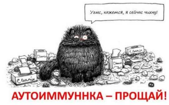 [Moveat] Аутоиммунка, прощай! (Макс Погорелый)