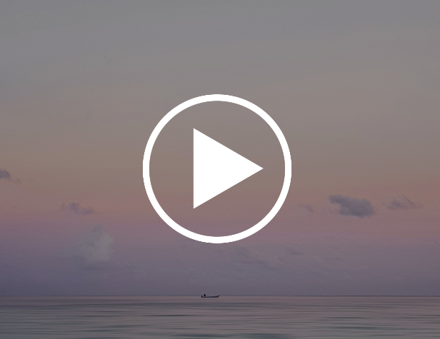 Работа с ресурсами (Шейла Алиева)