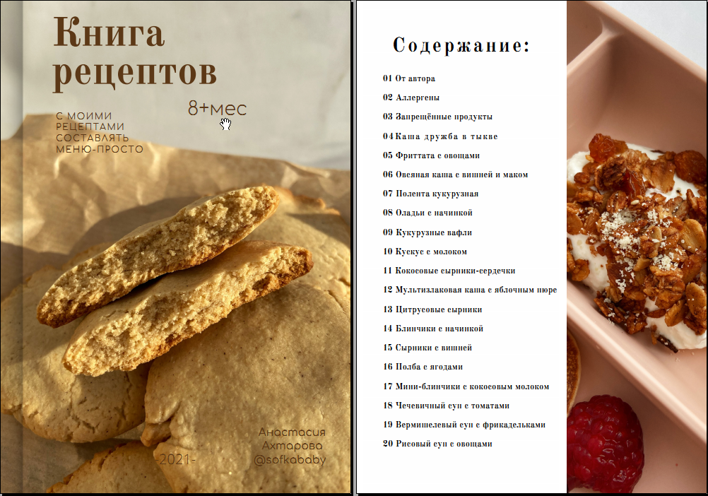 Книга рецептов +8 мес (Анастасия Ахтарова)