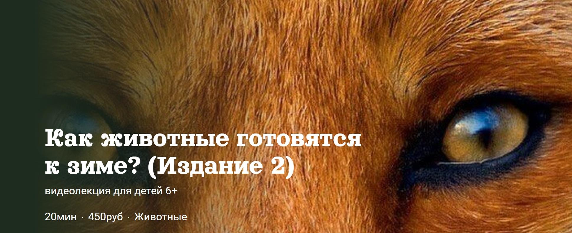 [Детский лекторий] Как животные готовятся  к зиме? (Издание 2) (Александр Толмачев)