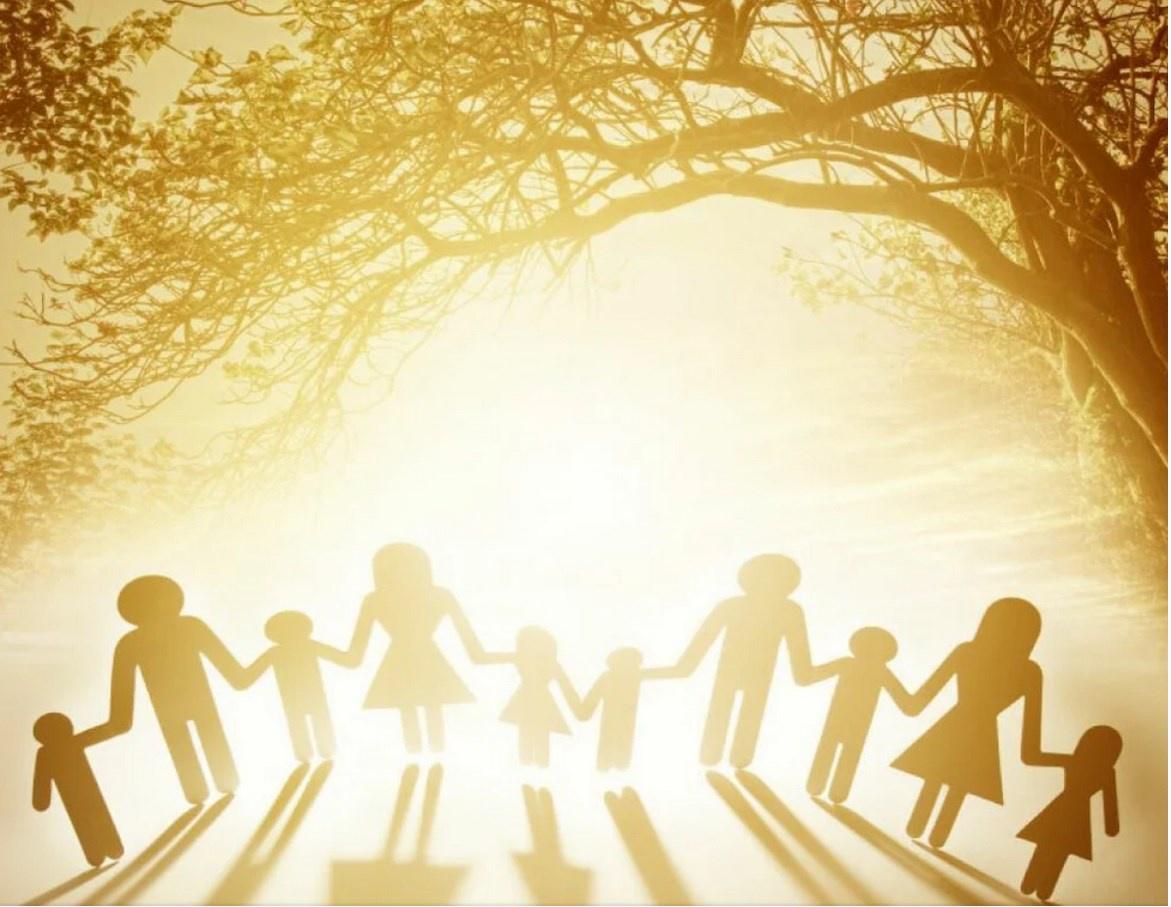 [Sigh Energy] Семейные расстановки Automated Powerful Plus + 11x (Extra Strong)