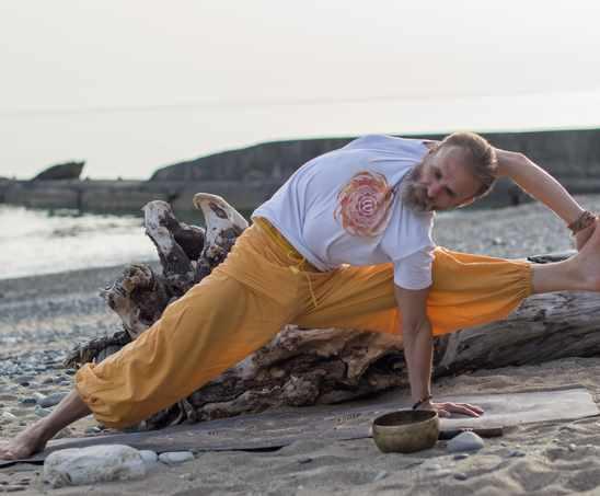 [Гибкий Дед] Здоровые суставы (Вадим Левашов)