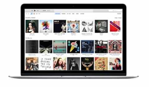 [Radionic Program] Позитивный вынос мозга