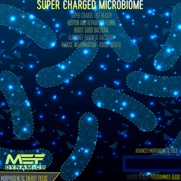 [MEF Dynamics] Сверхзаряженный микробиом