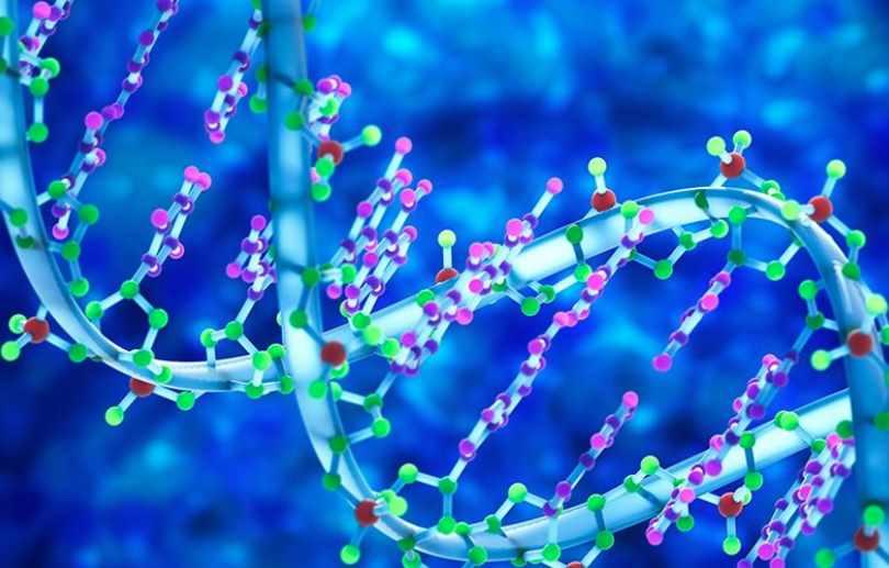 [Архэ] Основы генетики. Лекция 2 «Биомолекулы: ДНК и РНК. Центральная догма молекулярной биологии» (Андрей Синюшин)