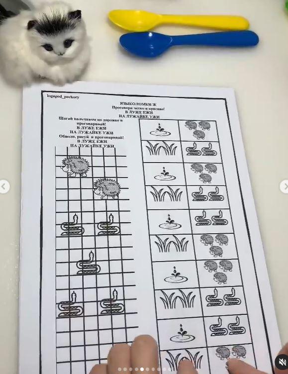 [Логопед Печоры] Логопедический альбом "Языколомки на звук Ж, Ж-З" (Оксана Вайнгольц)