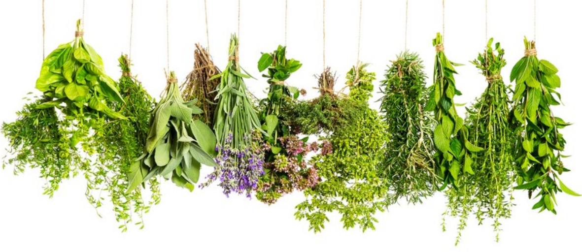 Травы для здоровья всей семьи на каждый день (Анна Зименская)