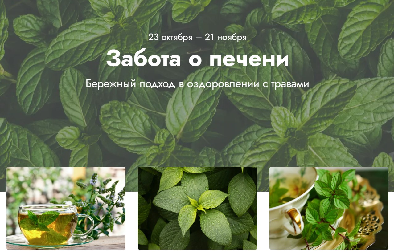 Забота о печени. Тариф Информативный (Светлана Калмыкова)