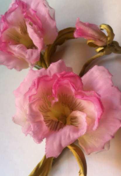 Анютины глазки Марилу  (Полина Кузнецова)