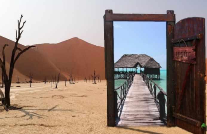 ДНК. 2 часть + транскрибация (Lee)