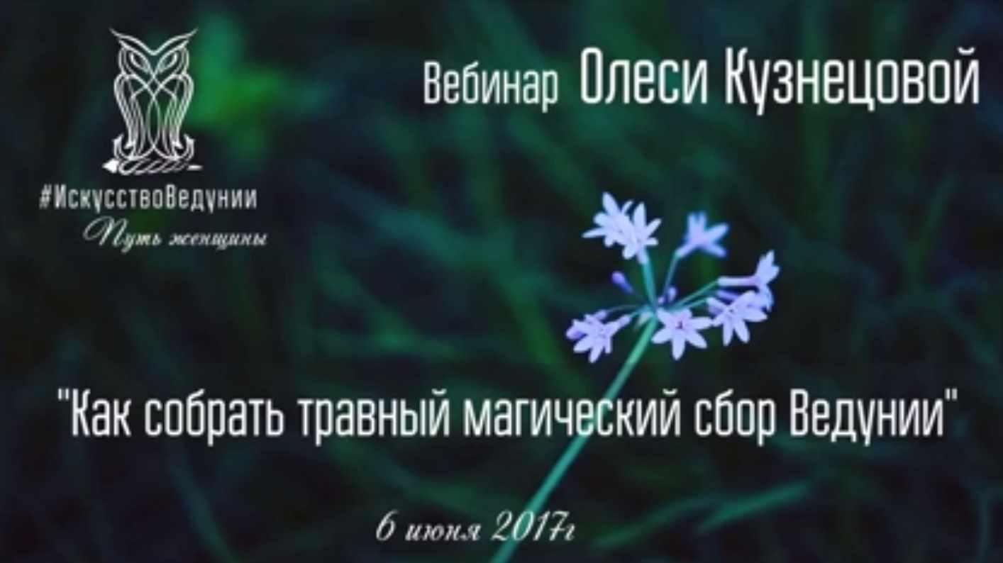 Как собрать травный магический сбор Ведунии (Олеся Кузнецова)