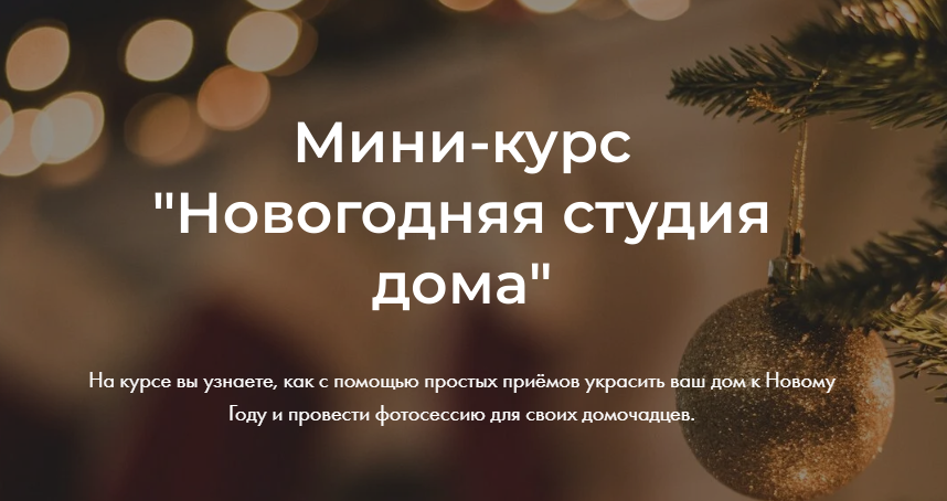 Новогодняя студия дома (Яна Савина)