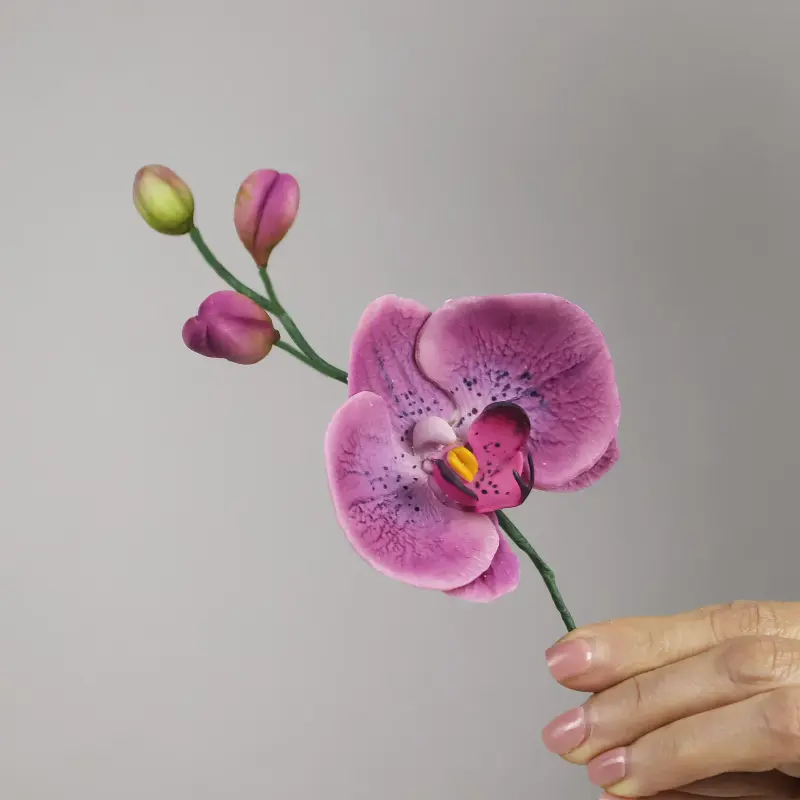 Орхидея из пластичного шоколада (Даяна Лус)