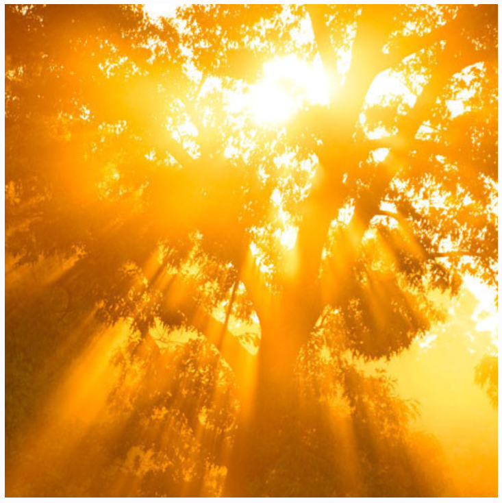 Медитативный курс 3: Постижение Высшего Мастерства (Альмин)