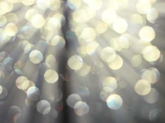 Победитель Темных Сил (Лавиния Сина Шендрей)