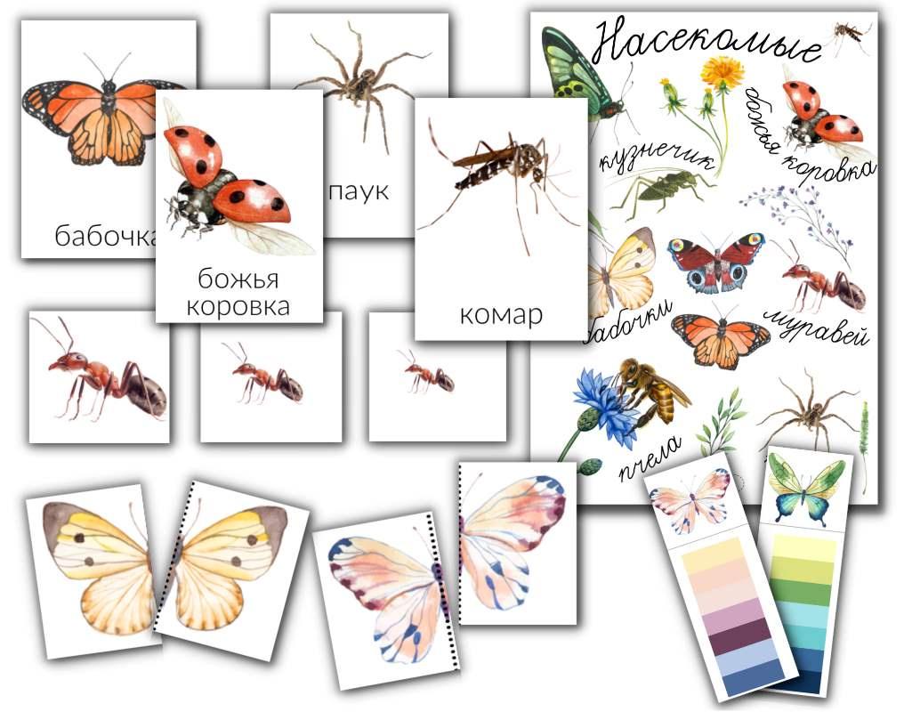 [busy-bee] Насекомые (Елена Самсонова)