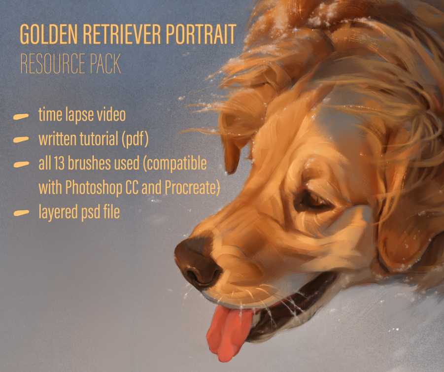 [Gumroad] Учебник по портрету собаки и набор кистей (Мари-Лийс Кирсимяги)