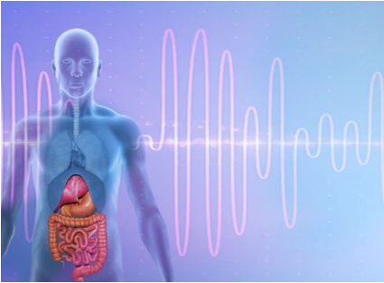 [Qi Life]  Пищеварение |Digestion (David Wong)