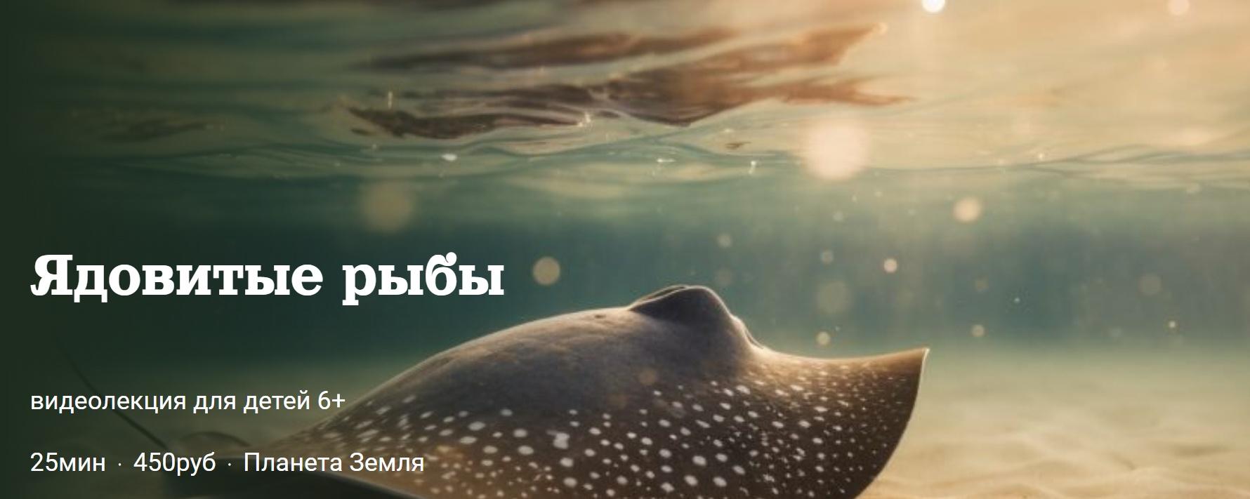 [Детский лекторий] Ядовитые рыбы (Александр Толмачев)