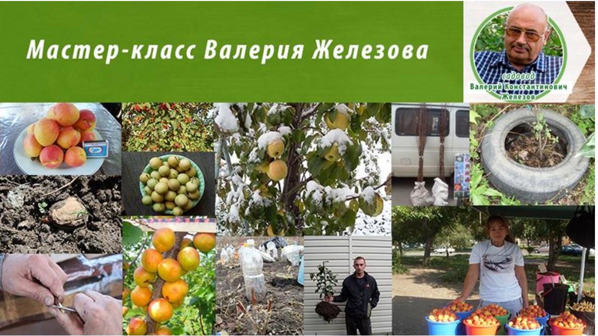 Мастер класс Валерия Железнова (Валерий Железнов)