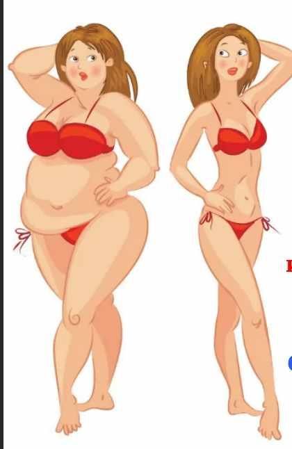 МК Алгоритм стройности или почему мозг не считает вес лишним (Екатерина Костина)