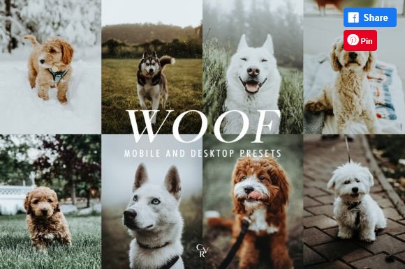 [Creativefabrica] 12 Pets Lightroom Presets