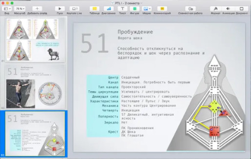 [Дизайн Человека] Курс «PTL I». Месяц 10 (Виктор Крючков)