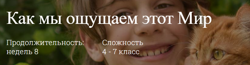 [ellipse.guru] Как мы ощущаем этот Мир 4-7 класс