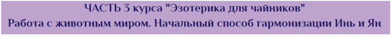 Эзотерика для чайников. 3 Часть. Работа с животным миром. Начальный способ гармонизации Инь и Ян (Антон Поддубный)