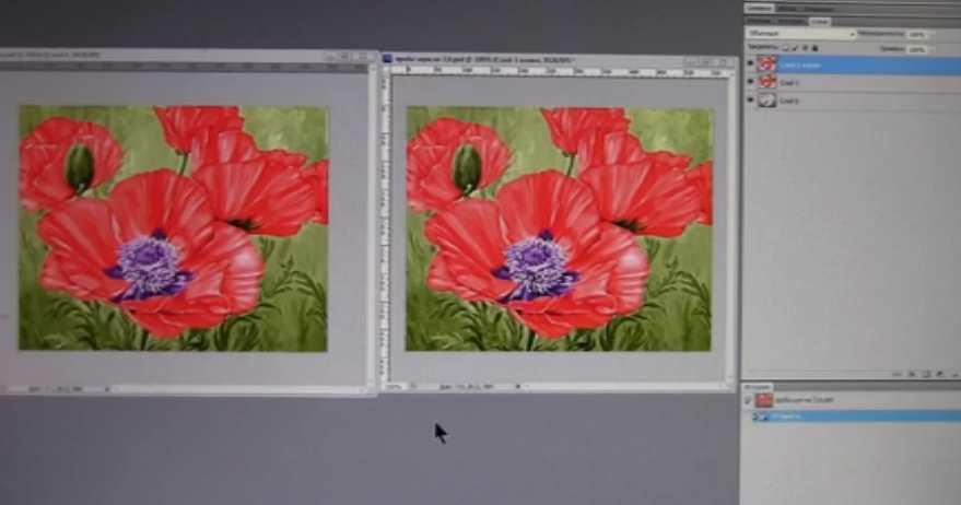 Курс Photoshop+Pe-Design+Embird (Светлана Белова)