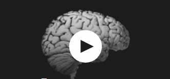 [Udemy] Хакерская дислексия, СДВГ, нейродивергентные проблемы (Пол Тилли)