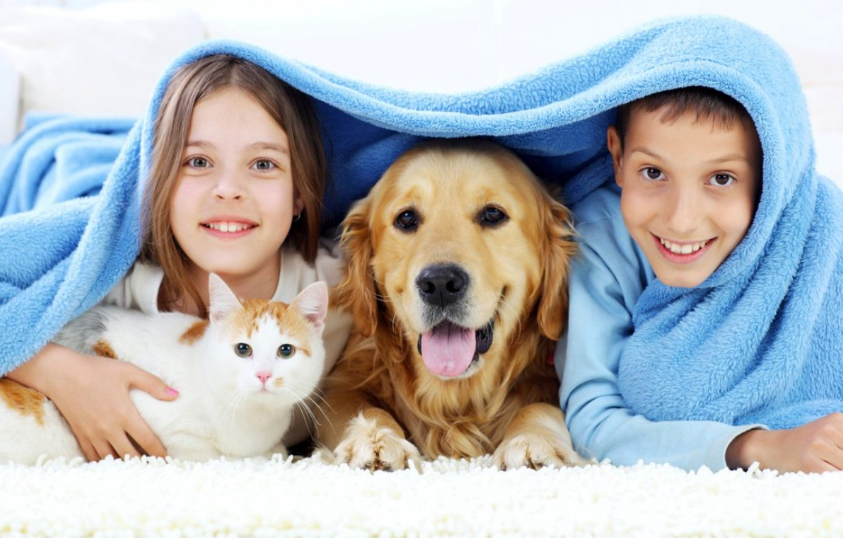 [EduNote] Животные как часть семейной системы (Александра Александрова), фото 1 из 1.