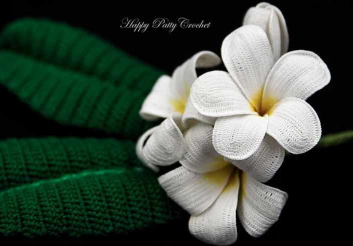 Plumeria Flower/Цветок Плюмерии (HappyPattyCrochet)