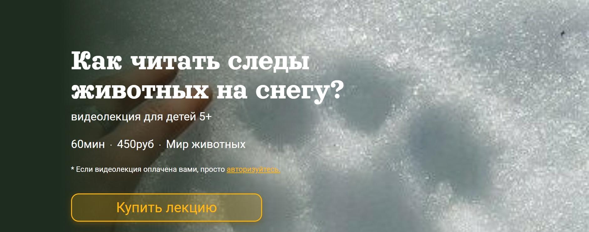 [Детский лекторий] Как читать следы животных на снегу? (Александр Толмачев)