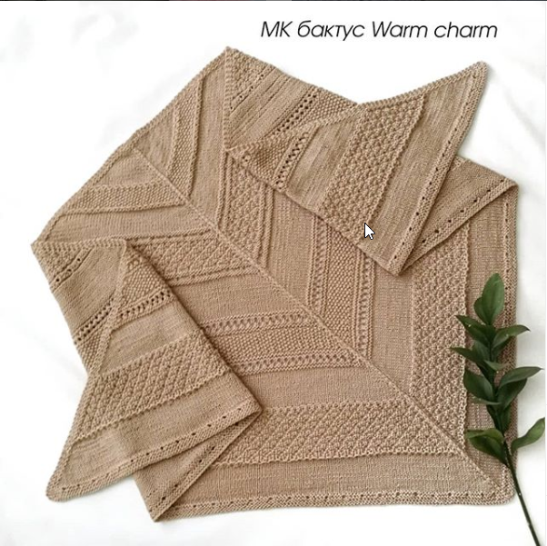 Бактус Warm charm (sharm.knit)
