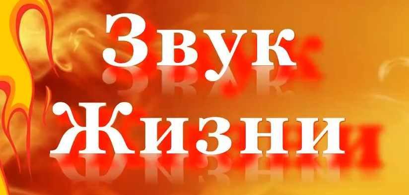 Звук жизни. 2-я сфера Голос истины (Лариса Артамонова)