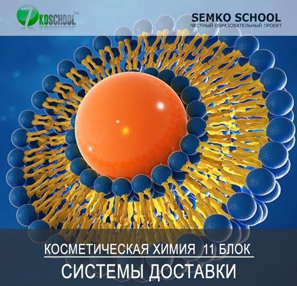 [7koschool] Курс-практикум "Косметическая химия". Блок 11 "Трансэпидермальные системы доставки" (Анастасия Семко)