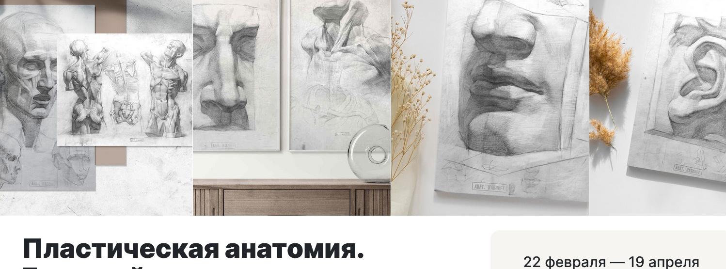 Пластическая анатомия. Большой курс (Ксения Заварзова)