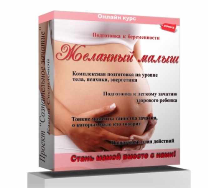 Желанный малыш. Подготовка к беременности (Елена Светлова)