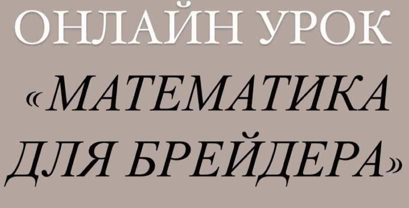 [Artstu10] Математика для брейдеров (Анастасия Десятникова)