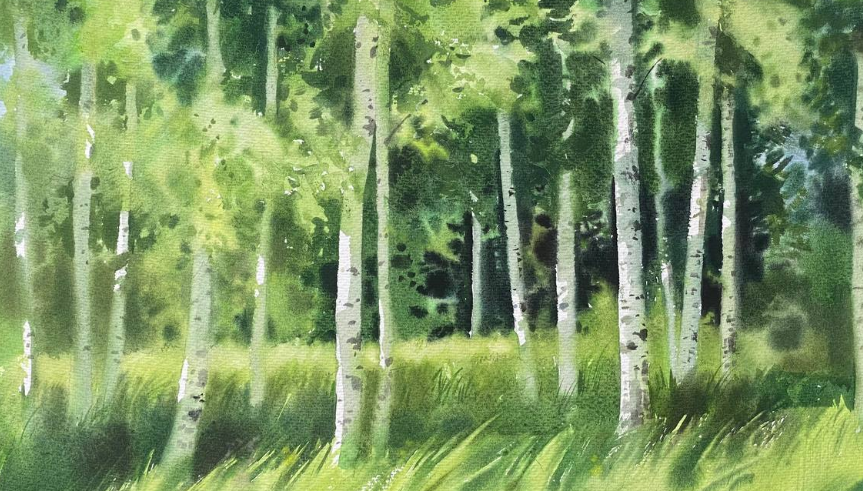 [lectoroom] Березовый лес акварелью на пленэре (Елена Базанова)