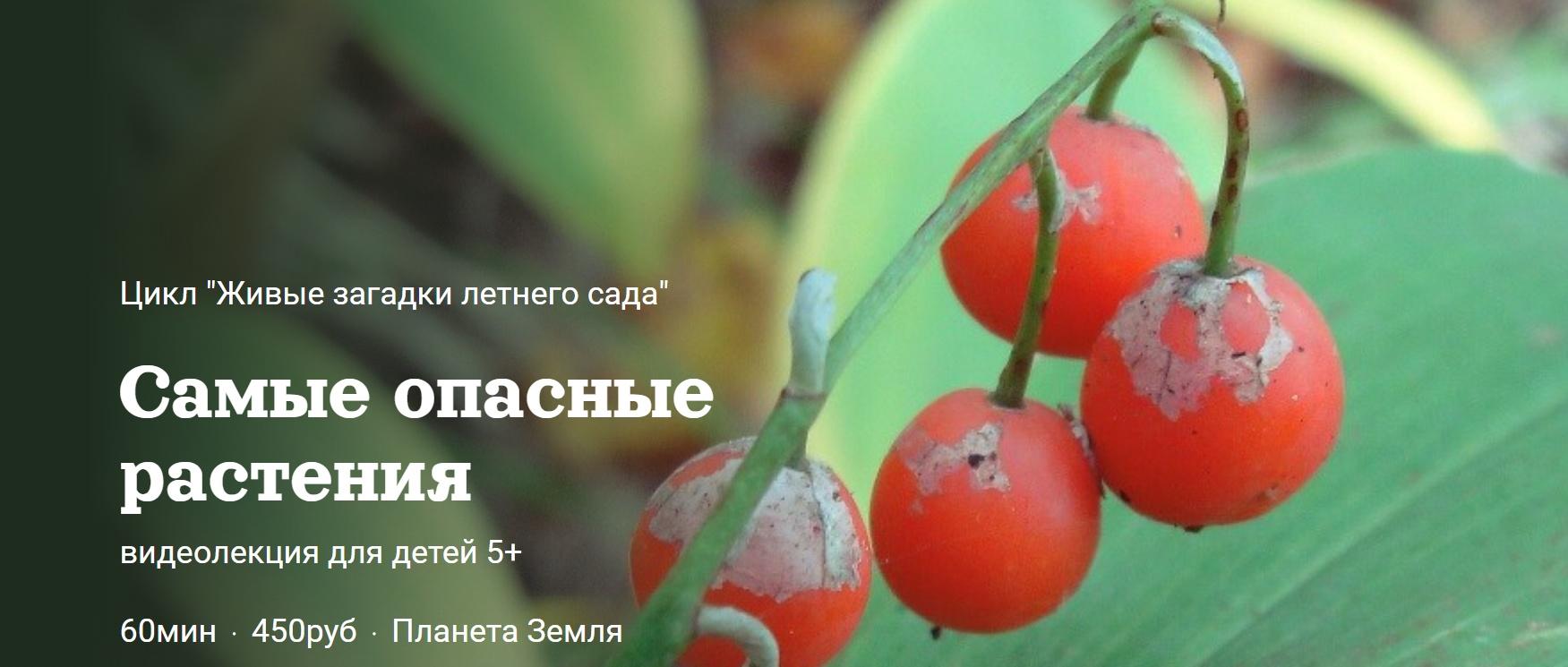 [Детский лекторий] Самые опасные растения (Александр Толмачев)