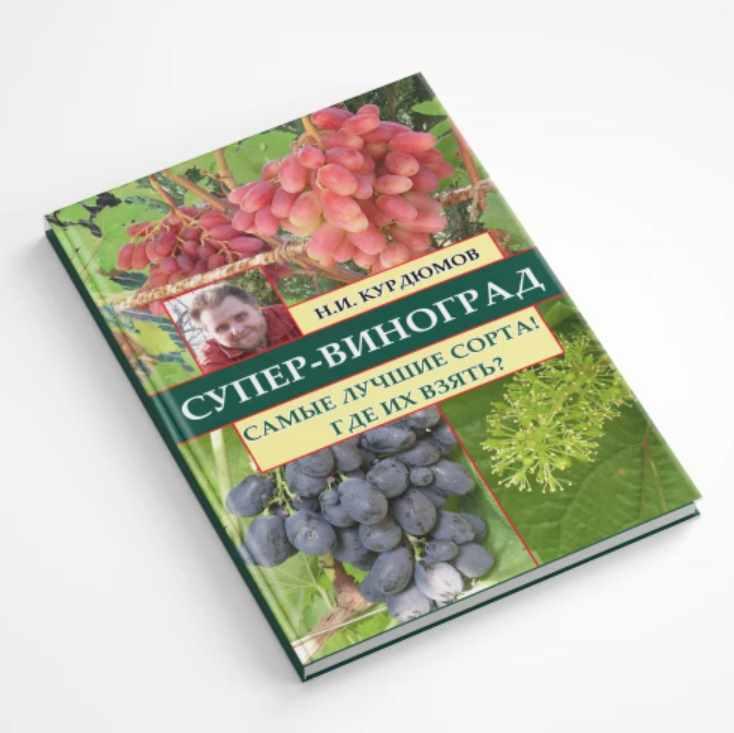 Супер-виноград. Навык 1 Самые лучшие сорта (Николай Курдюмов)