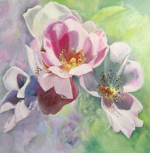 Яблоневый цвет (Татьяна Букреева)