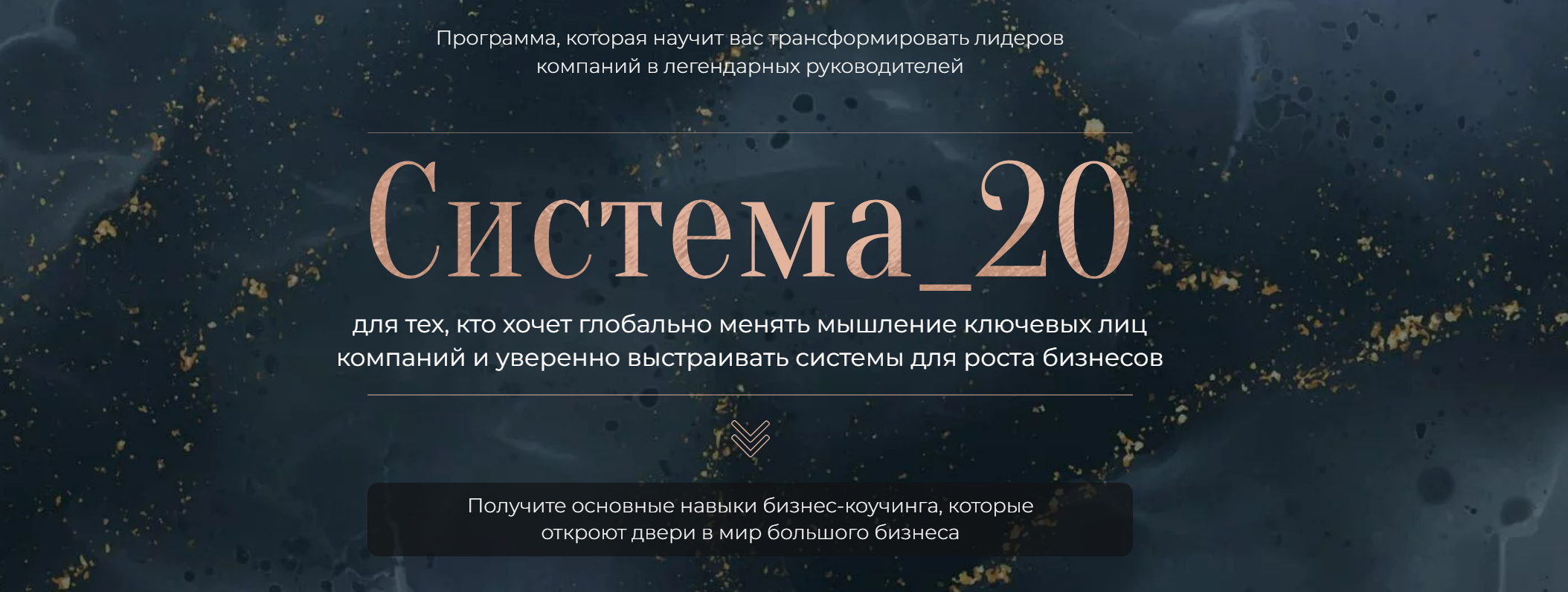 Система_20 (Михаил Саидов, Елена Долинская)